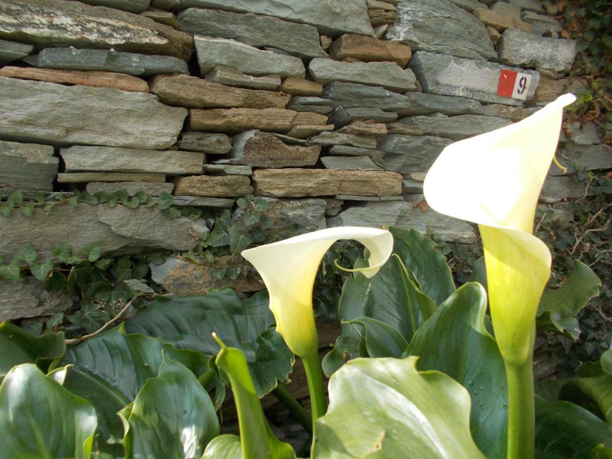 Cyclades Olive Museum'S Guest House Pitrofos Luaran gambar
